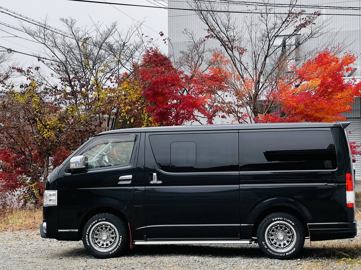 一晩で景色が変わった😱