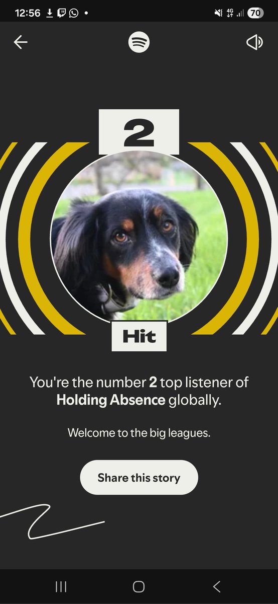 Hit / Fabrizzio tweet media