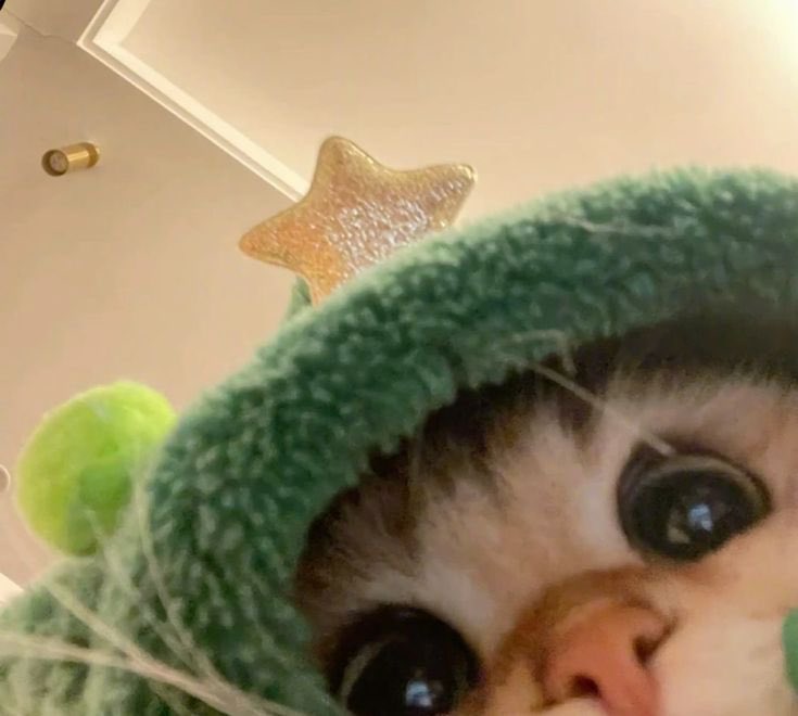 Gn boys

see u tomorrow 👀