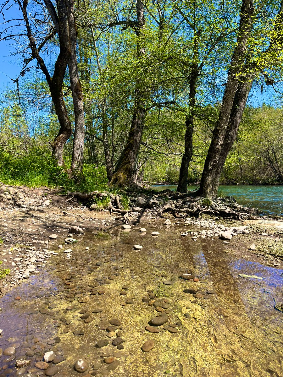 small stones
   gathering together 
whispering dirt

#Storyin6 #prompt #Together #poetry #WritingCommunity