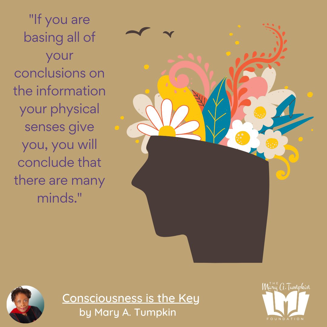 Mary A. Tumpkin Foundation tweet media