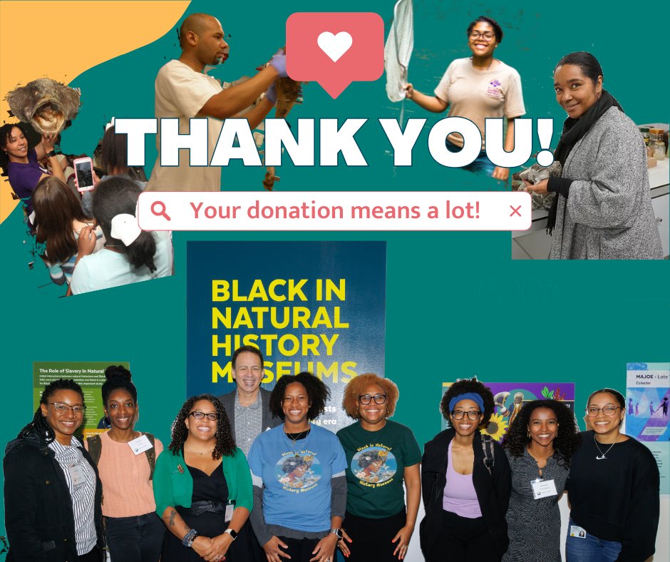 Black in Natural History Museums tweet media