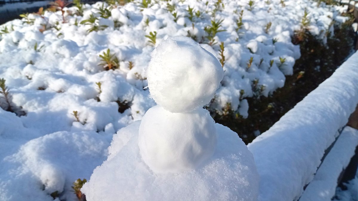 仙台は雪です　#雪だるま