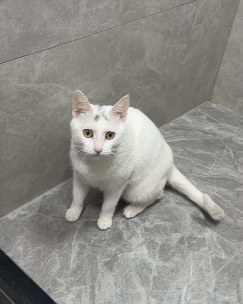 阳光苹果 (@w9262m) on Twitter photo 