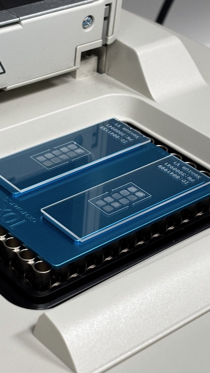 Kellie Wise tweet media