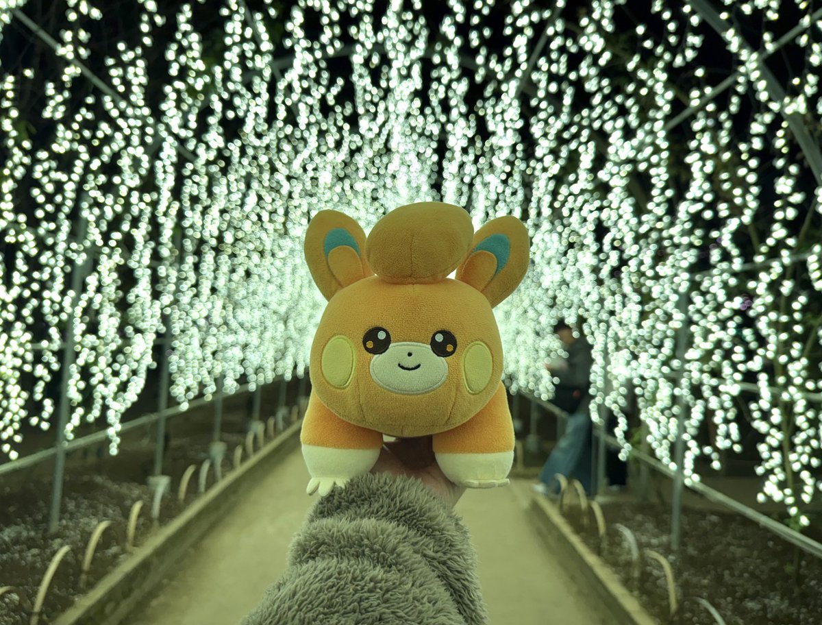 ぽむ (@pompom_pokepoke) / Posts / X