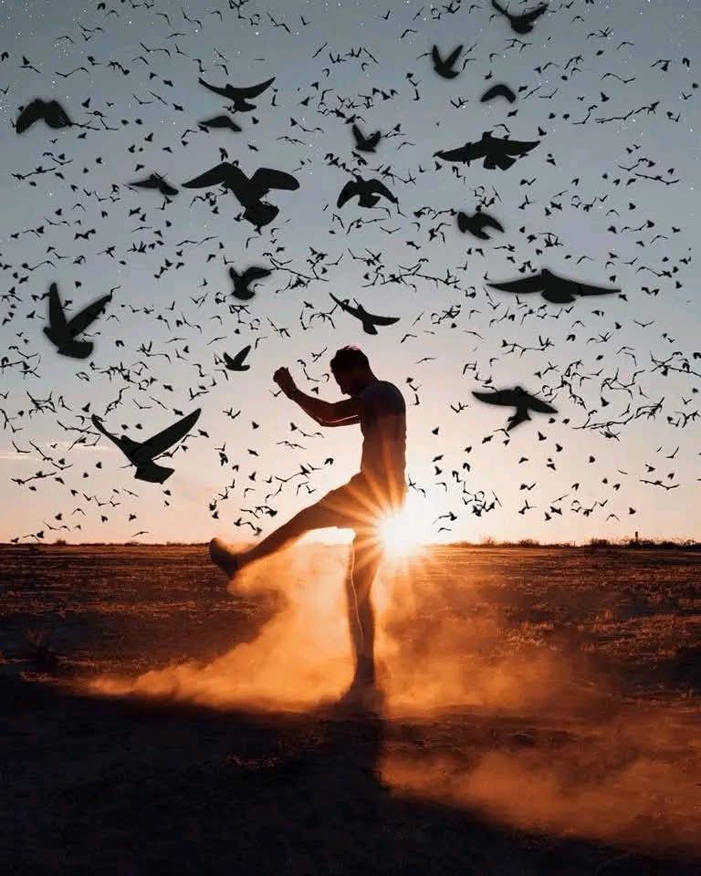 Atardecer_90's tweet photo. “La sabiduría me dice
                 que no soy nada.
El amor me dice 
                  que lo soy todo.
Y entre los dos mi vida fluye”.
 
     ~ Nisargadatta Maharaj https://t.co/7mksAHp2we