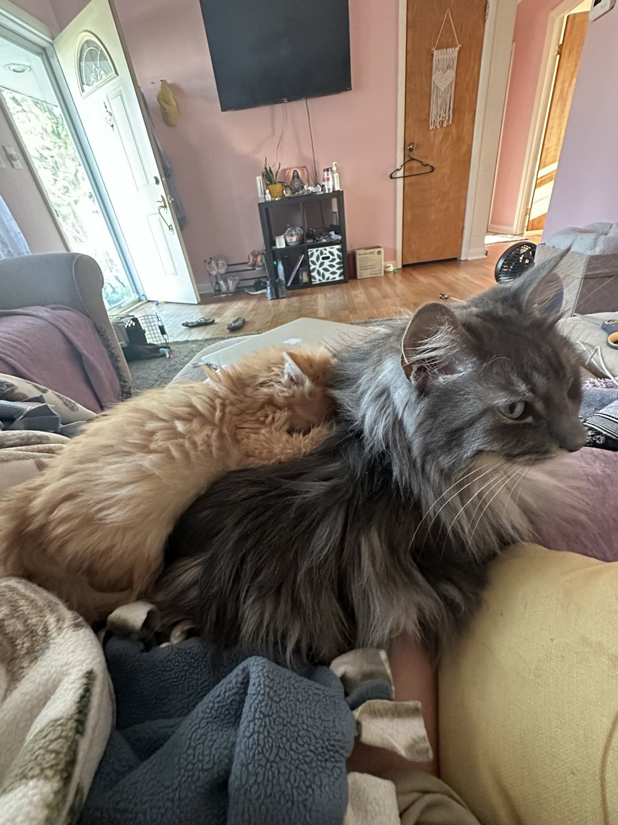 Mo 🤸🏻‍♀️ tweet media