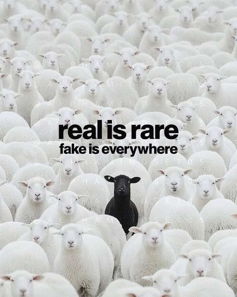 Mindful Maven (@mindfulmaven_) on Twitter photo 