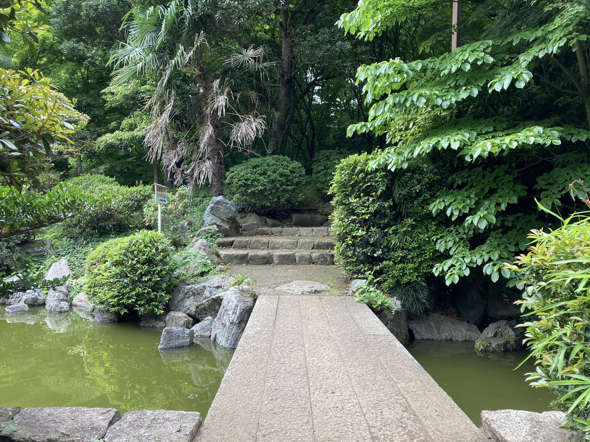 cosmixwahunokai's tweet image. 【和風の会 愛宕】
愛宕公園 受付：集会所
西武池袋線「入間市駅」徒歩17分
2月8・11・14・15
9:45-16:30
事前申込制
cos-mix.jimdofree.com
＃コスミ