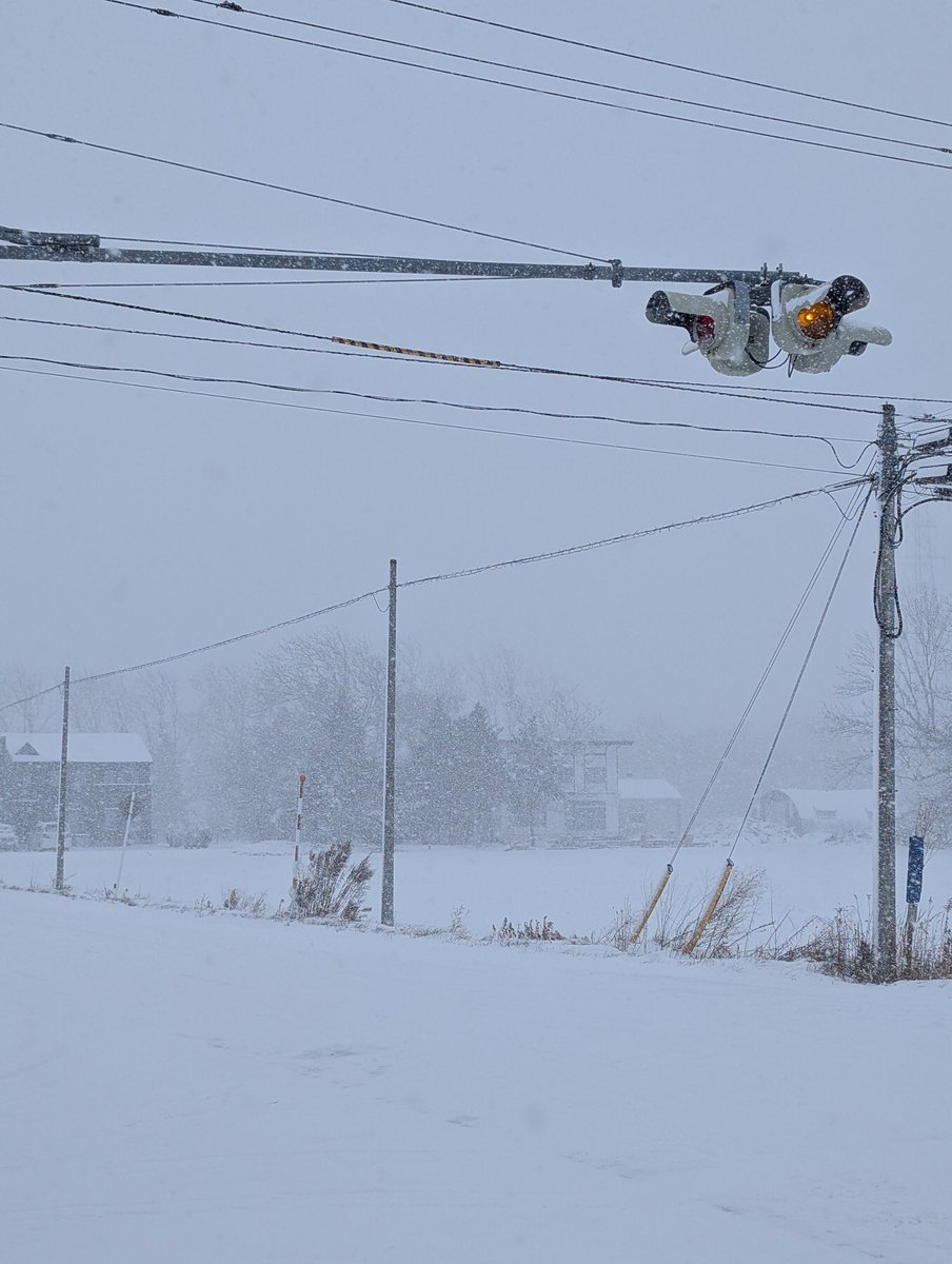 mitchan0321's tweet image. 雪見て