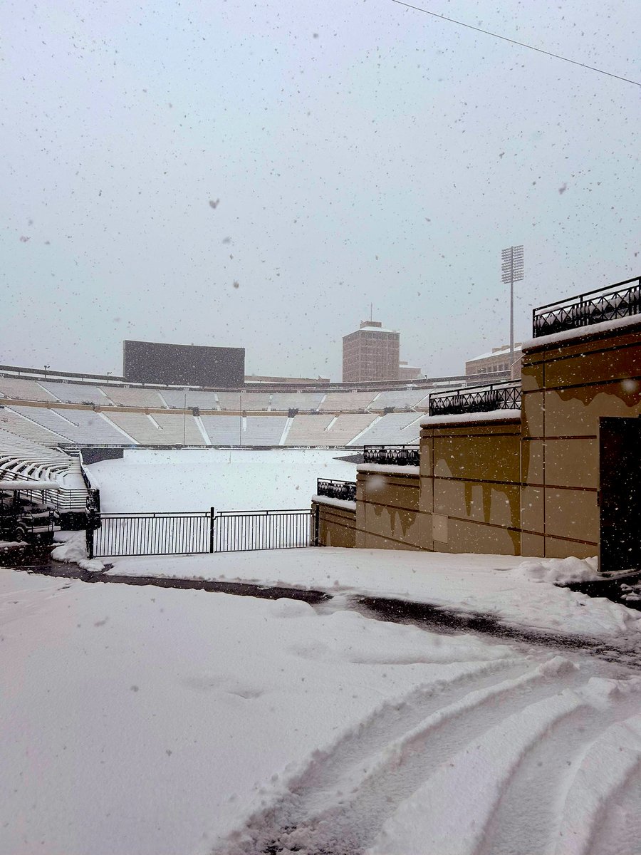 CU Sports Turf tweet media