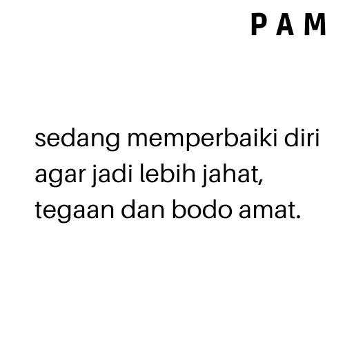 P A M tweet media