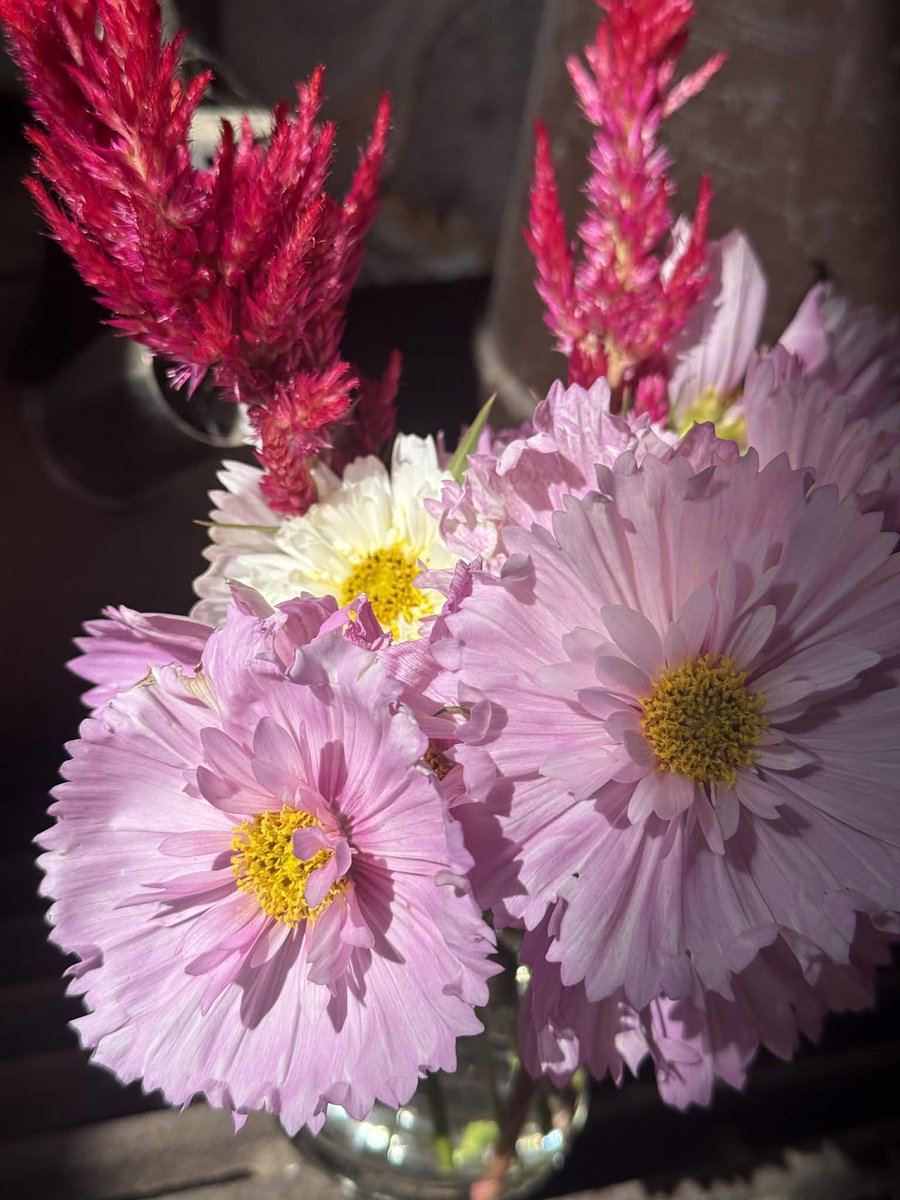 KirralieS's tweet image. In less than 24hours I will find out the punishment for being found guilty of unlawful vilification for identifying two males in female sport.

I took information from Football NSW and a football club - both in the public domain - and reposted it. I asked, "why are males in…