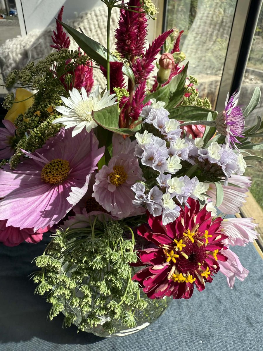 KirralieS's tweet image. In less than 24hours I will find out the punishment for being found guilty of unlawful vilification for identifying two males in female sport.

I took information from Football NSW and a football club - both in the public domain - and reposted it. I asked, "why are males in…