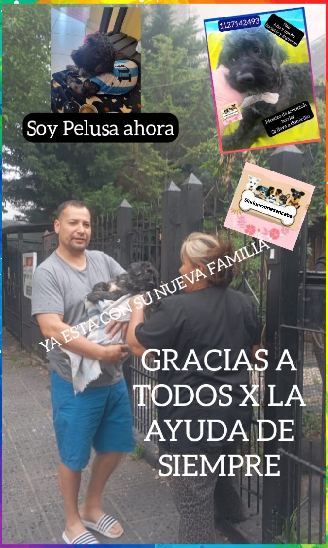 #adoptanocompres #adopcionesresponsables #adopcion #adopta #ayudarsalvavidas #ayuda #buenosaires #live #teenperros #love #viral #reels #tendencia2025 #perros #mascotas