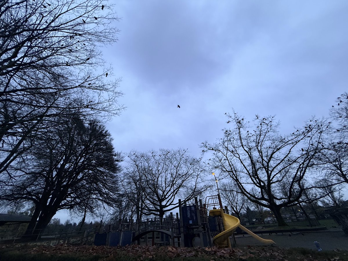 گر ز چشمش پرتو گرمی نمی تابد،
ور به رویش برگ لبخندی نمی روید،
باغ بی برگی که می گوید که زیبا نیست؟