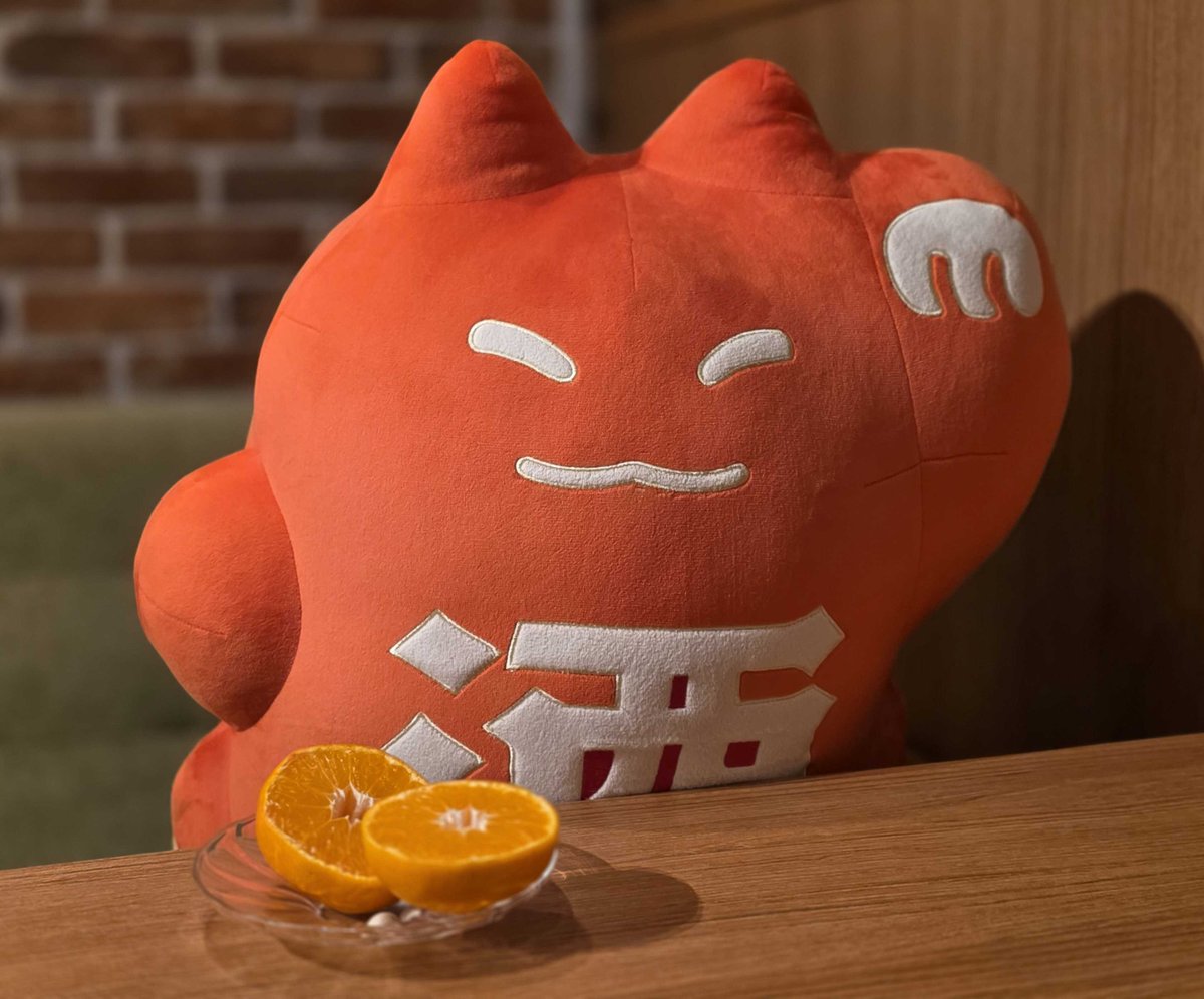 とある日の くにゃんど。 . 綺麗に切れたね . 🍊