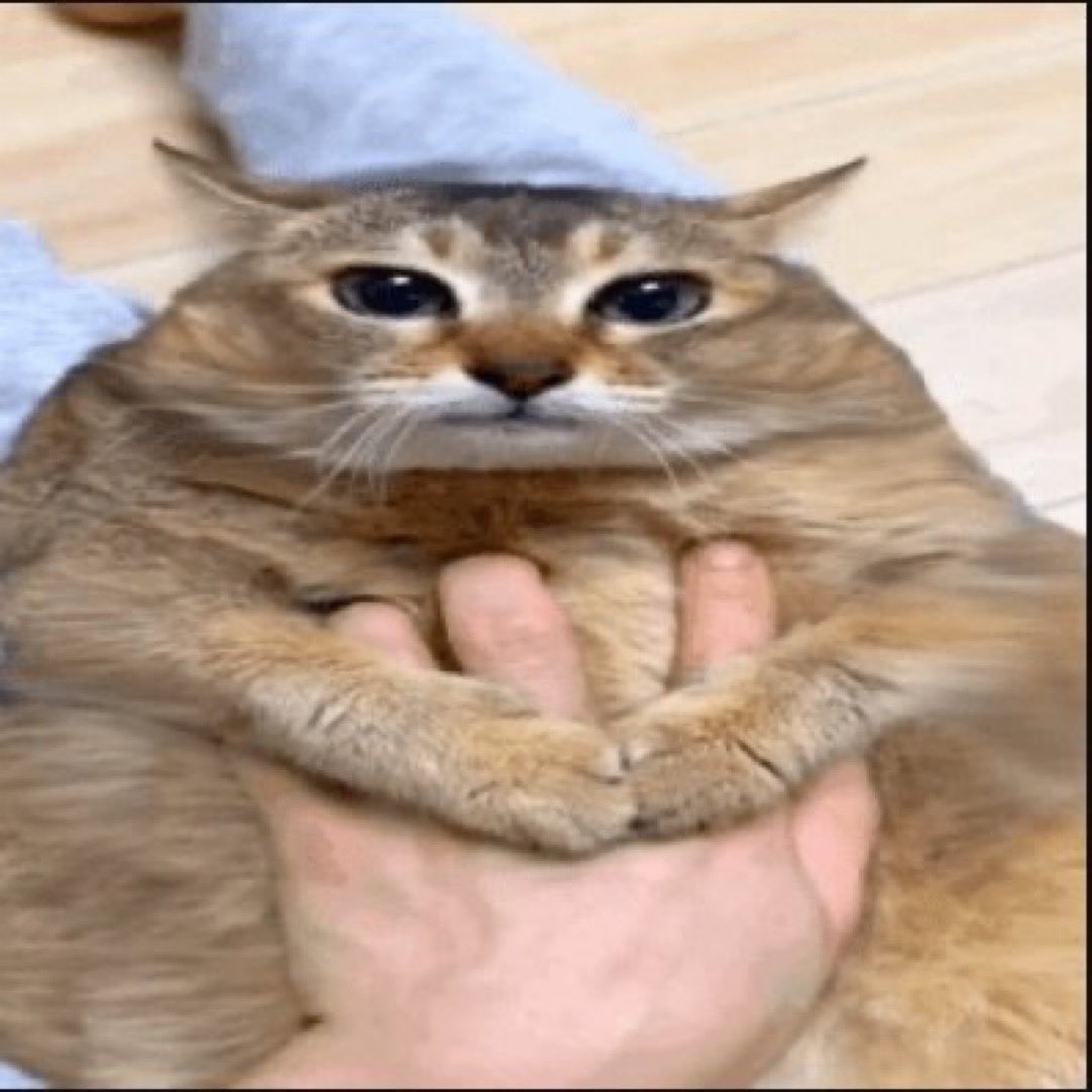 Tomorrow continuation