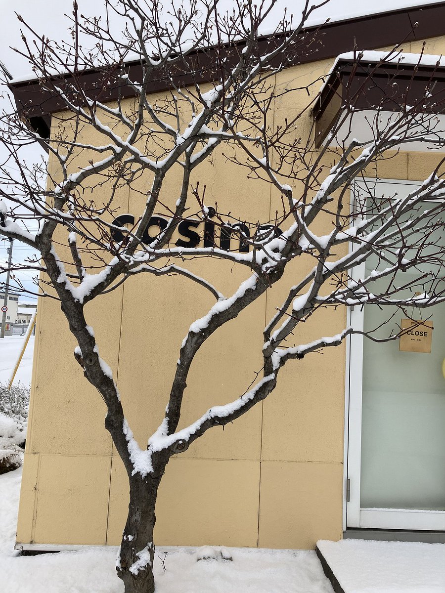 cosine_com's tweet image. 「雪景色の中で灯りを待つ朝。明日は“キャンドルライトナイト”です」
わくわく様です。
今朝も、出社前に車の雪をはらいながらのスタート
旭川らしい柔らかな雪が静かに積もり、10cmを超えたら除雪を、除雪業者さんにもお願いしています。
白い雪景色の中に、コサインの黄色
x.gd/BP7mR