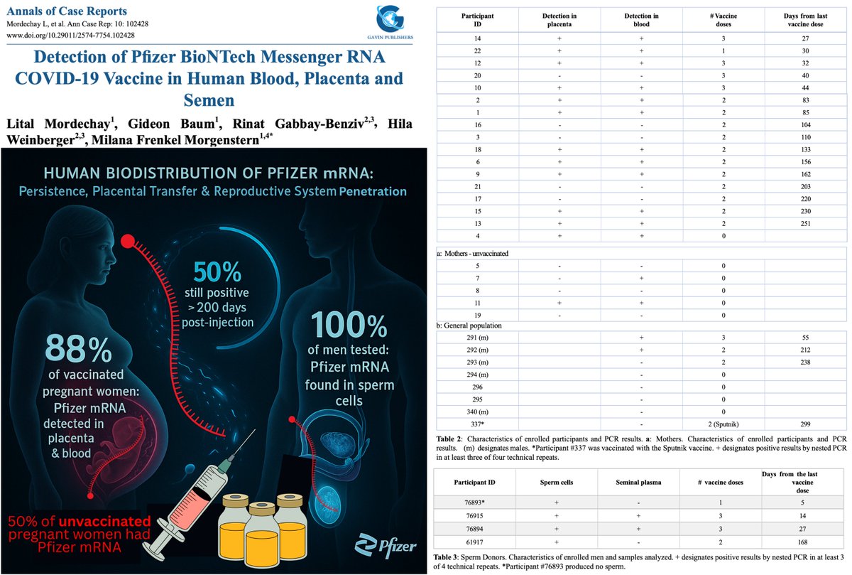 NicHulscher's tweet image. 🚨BREAKING STUDY: Pfizer mRNA Found in Over 88% of Human Placentas, Sperm, and Blood — and in 50% of Unvaccinated Pregnant Women

Human biodistribution study shows Pfizer mRNA penetrates fetal/reproductive tissues, persists long-term, and presents clear evidence of shedding ⬇️…