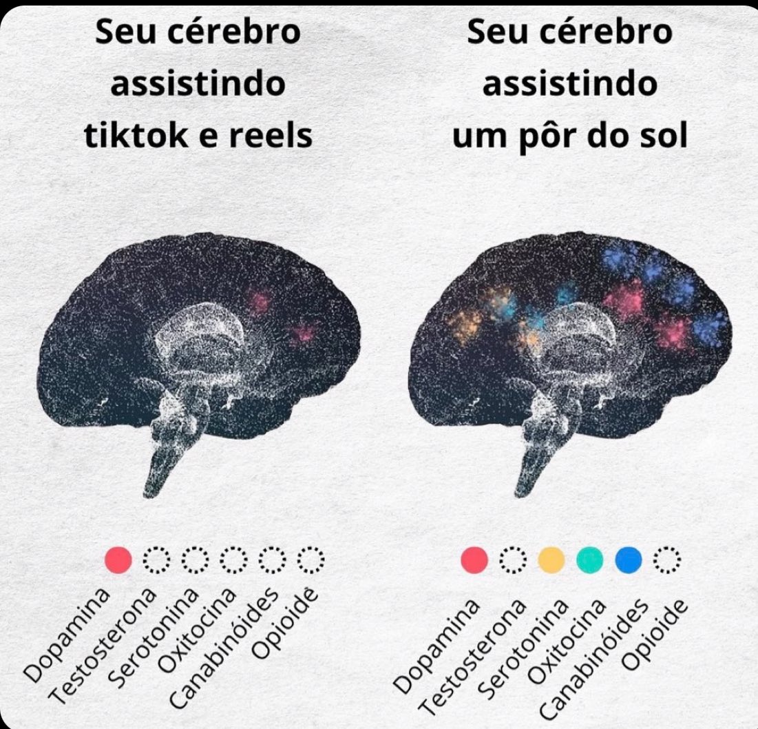 intelectusofc's tweet photo. Você se sente cansado, vazio e sem energia? Então arrasta pro lado e leia esse post... https://t.co/J8AKe9YrVc