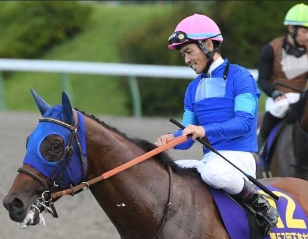 【現地観戦馬券】2020年　ジャパンカップ　1,2,3着馬券 現地観戦馬券】2020年 ジャパンカップ 1,2,3着馬券