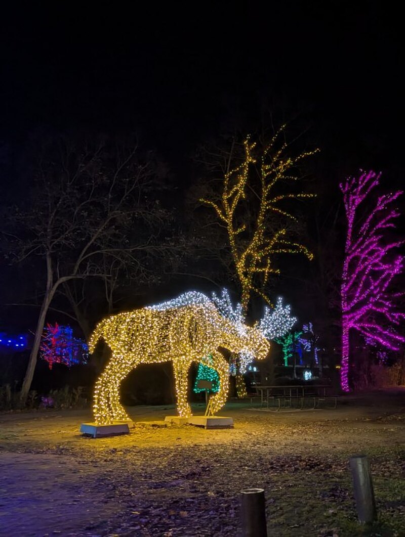 □[クリスマスシーズン限定]💓冬の幻想的な光に包まれたナイアガラの滝