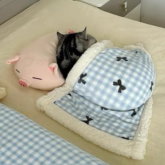 se vc postar story de algum gatinho e eu não ter dado like pode saber que invadiram meu perfil jamais deixaria de curtir foto de gato