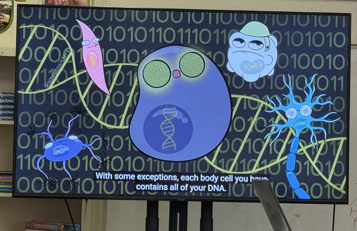 Heather Diaz tweet media