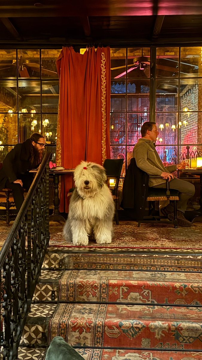 Cheryl Douglass tweet media