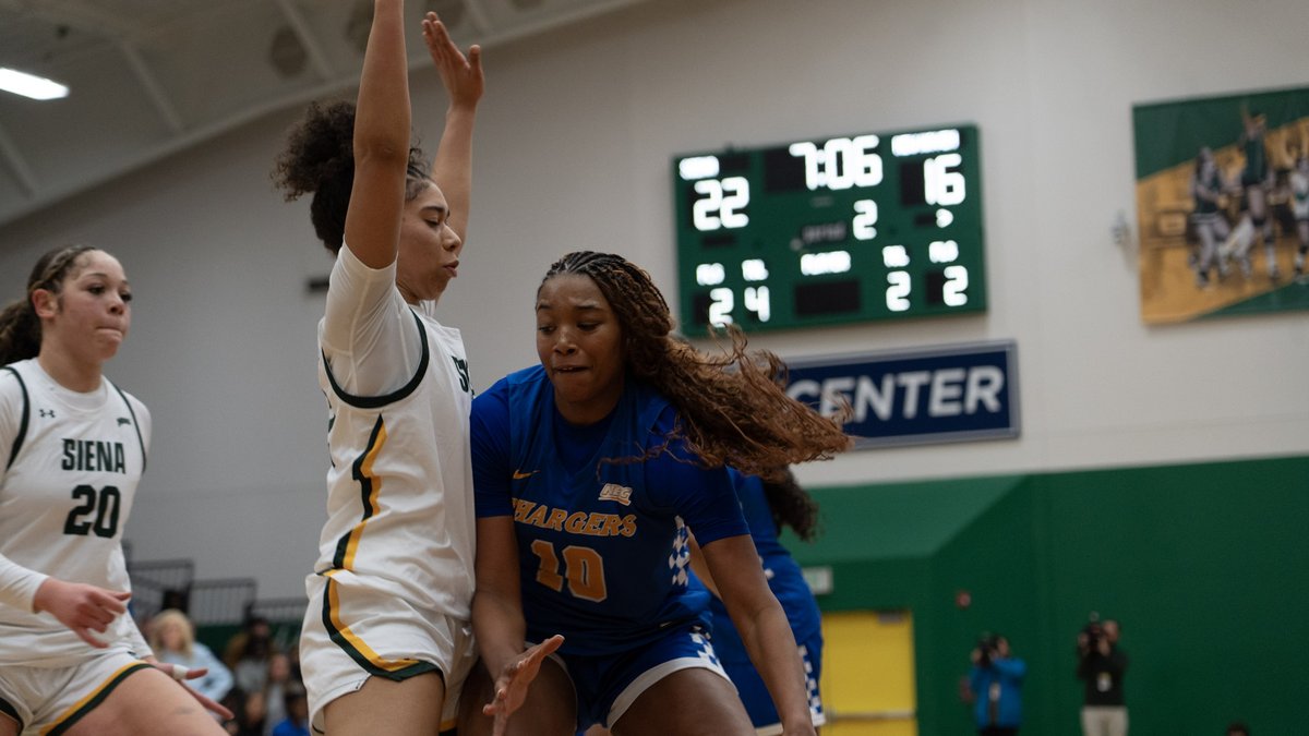 New Haven Women's Basketball tweet media