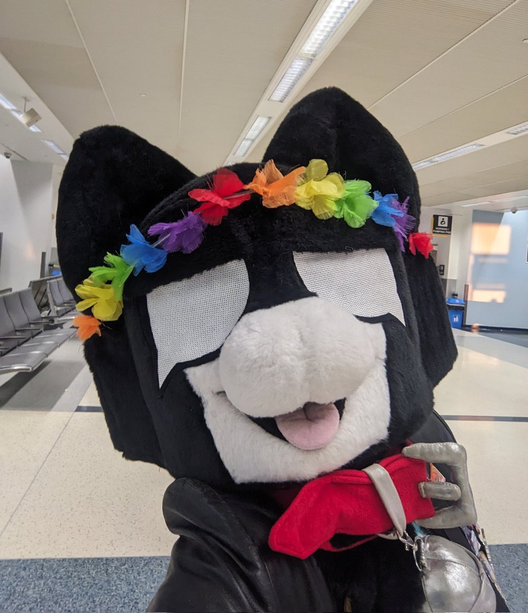 Heading to the main hotel lobby! Time to Tankcat around and knock over a few glasses 🐱