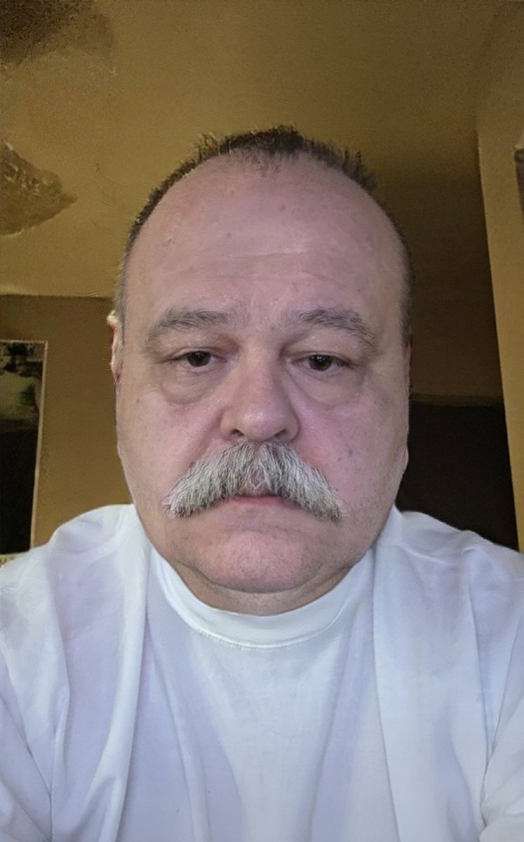 coolcucumber tweet media