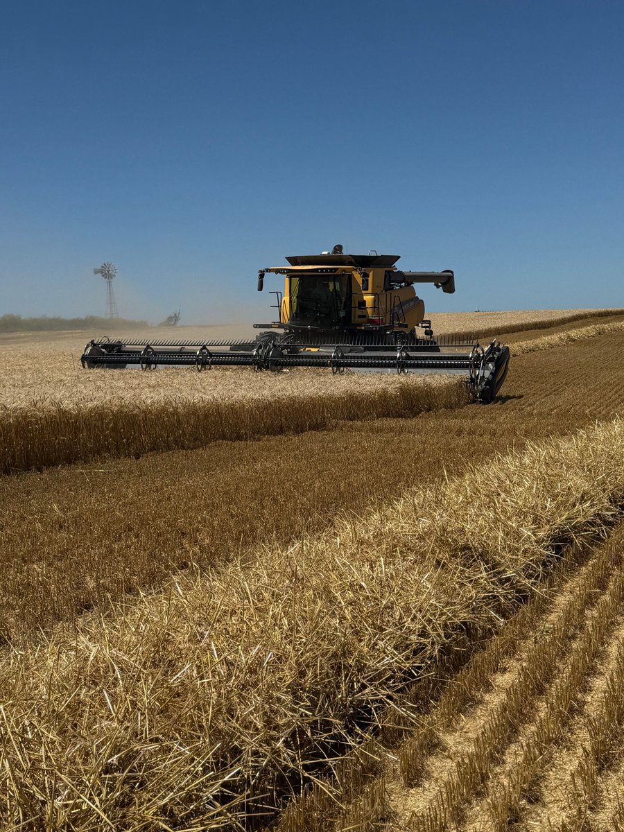 Excelente visita a Dolores , por invitación a Directiva de ACA , por parte de la Agropecuaria de Dolores. Contactos por vía Toti Zorrilla. Agradecemos el muy buen intercambio con todos los directivos de esa importante gremial y la oportunidad de visitar chacras en plena cosecha .