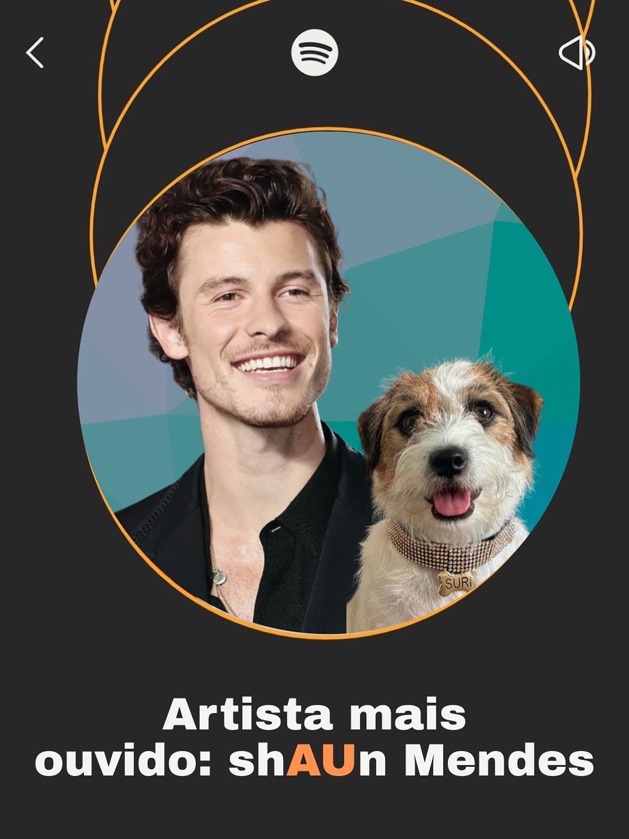 suridoguinha's tweet photo. Retrospectiva da Suri no Spotify #dualipa #shawnmendes #zecapagodinho #alcione https://t.co/lFETi6Co2N