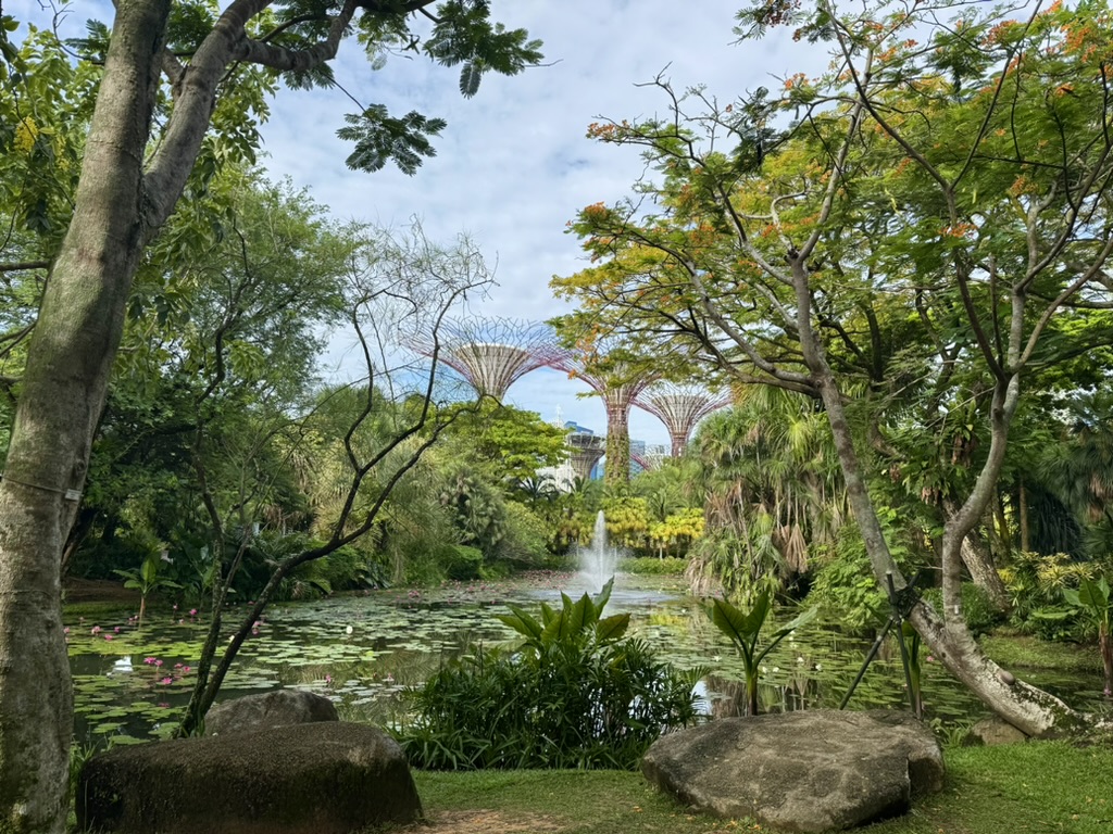 I love how many green spaces there are in the midst of all the sky scrapers.  This is from a park nearby.