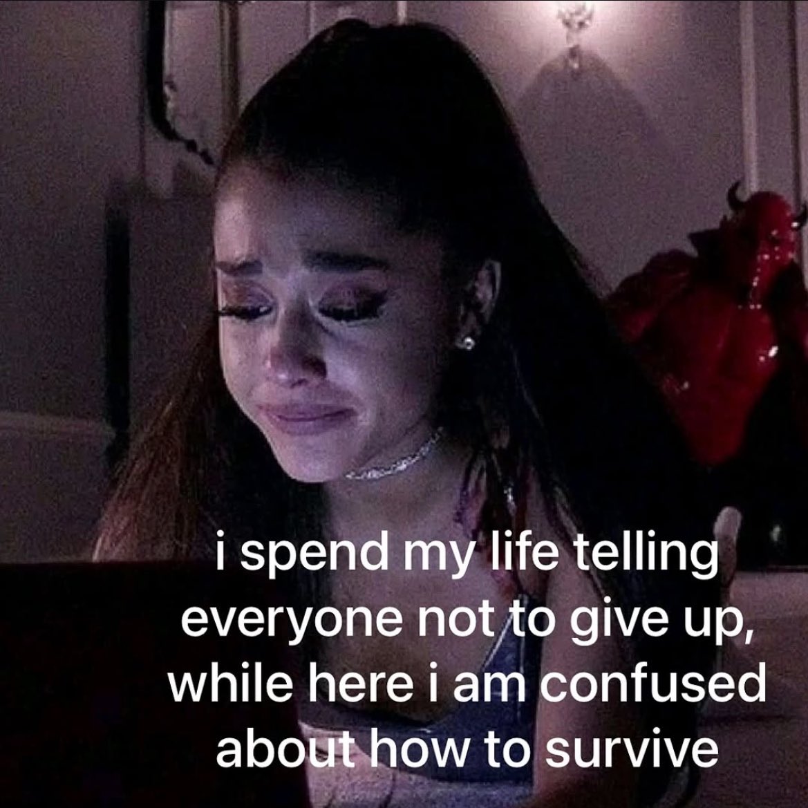 seavoue's tweet image. 