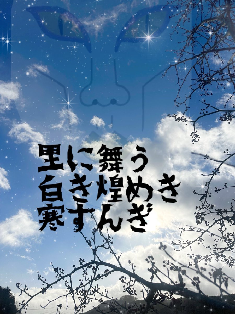 きのこBB🍄 (@kinokoBB2414) / Posts / X