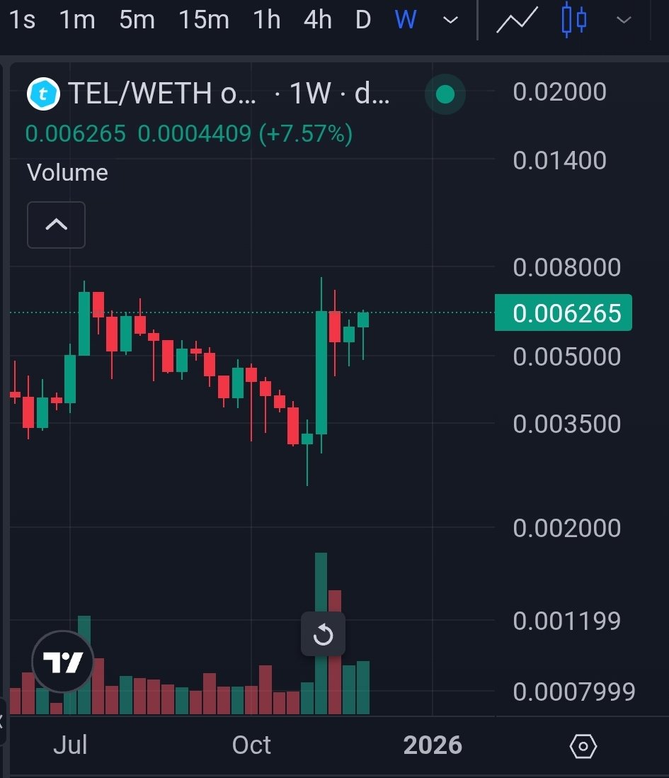 Paddy_stash 💰💰 tweet media