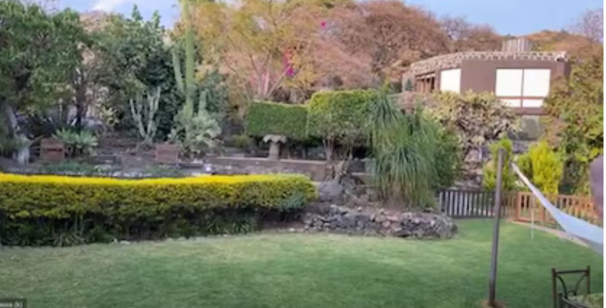 javiernegre10's tweet image. A ver @fernandeznorona ya contaremos cómo pagaste tu casa de Morelos y quién te paga los exclusivos viajes a Europa cuando muchos mexicanos pasan hambre. Comunismo caviar. Por cierto vaya buenos golpes te metió @alitomorenoc en el Senado después de que le provocases. México no se…