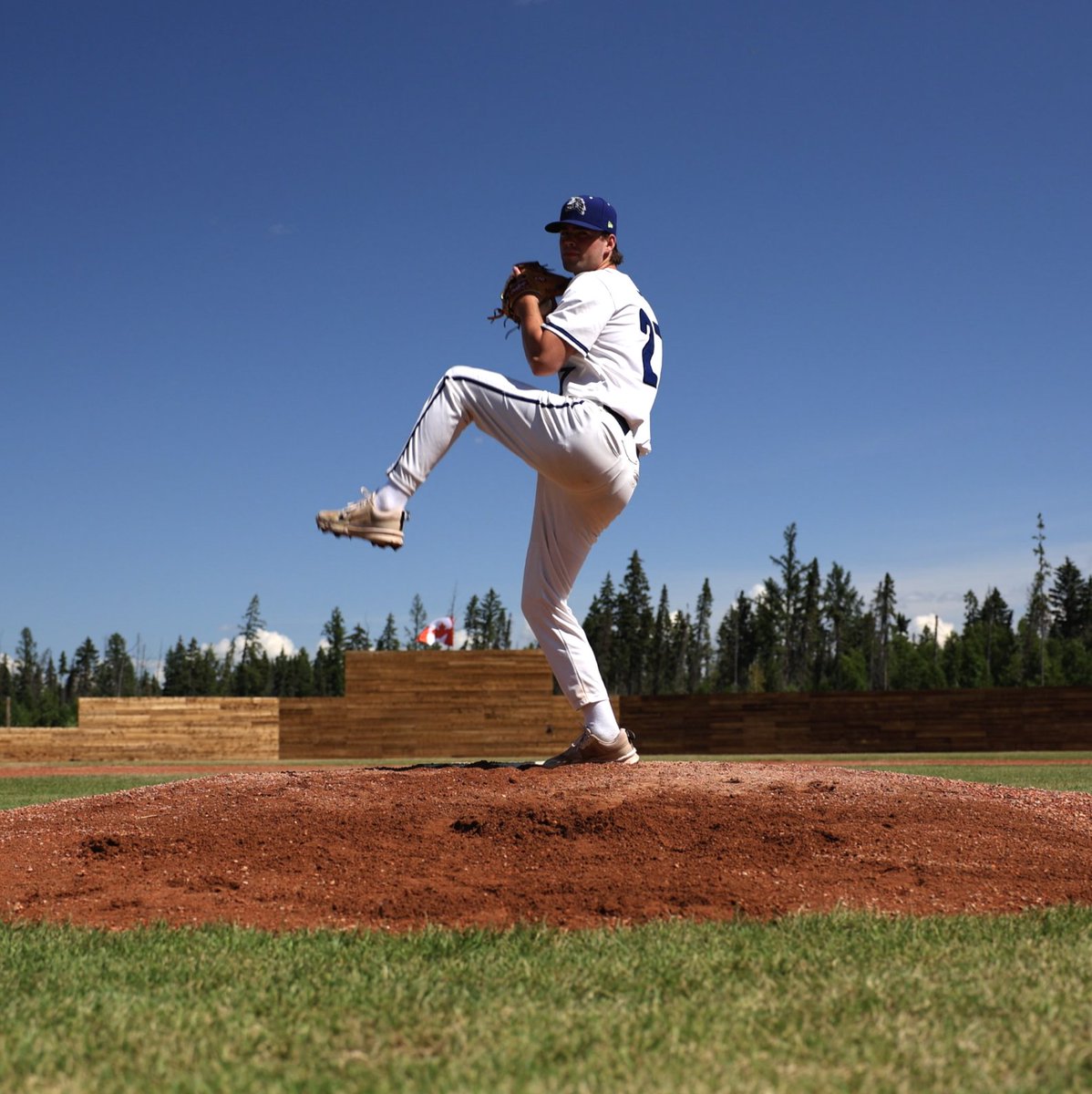 Energy City Cactus Rats tweet media