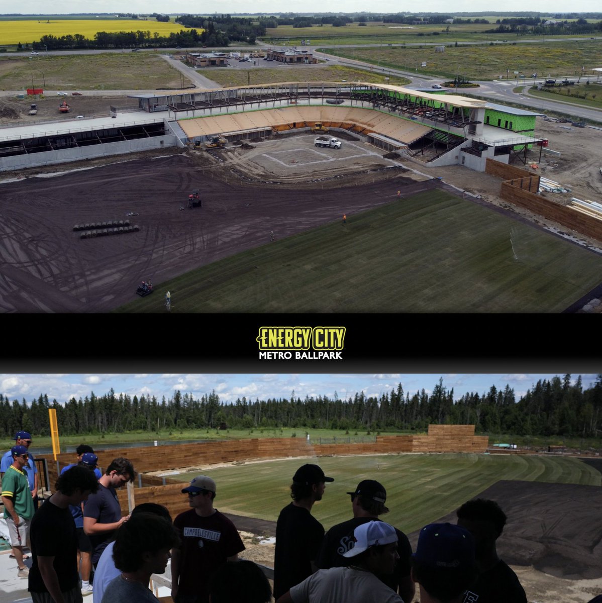 Energy City Cactus Rats tweet media