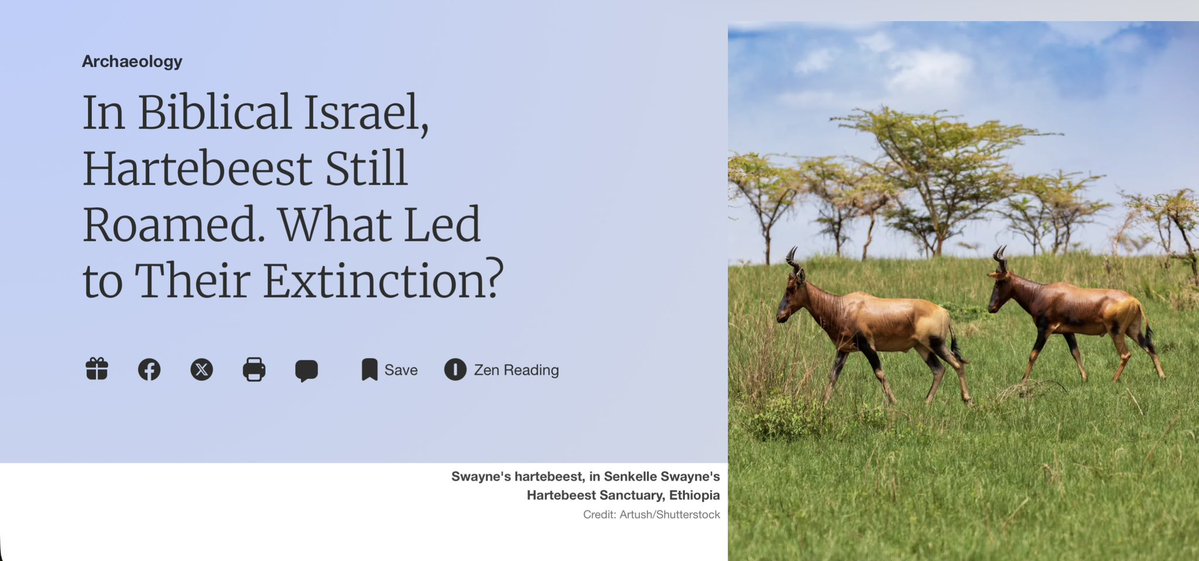 the old men who wrote the bible didn’t really care much about wildlife. They probably would not have eaten animals killed by hunters since their prescribed methods of killing were not applicable to Hartebeest.