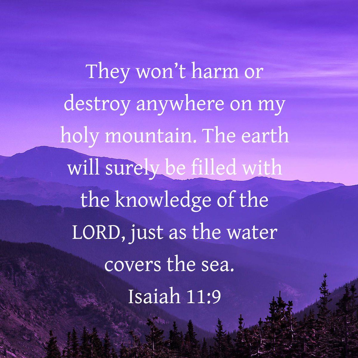 Isaiah 11:9 CEB
[9] They won’t harm or destroy anywhere on my holy mountain. The earth will surely be filled with the knowledge of the LORD, just as the water covers the sea.
#Advent
bible.com/bible/37/isa.1…