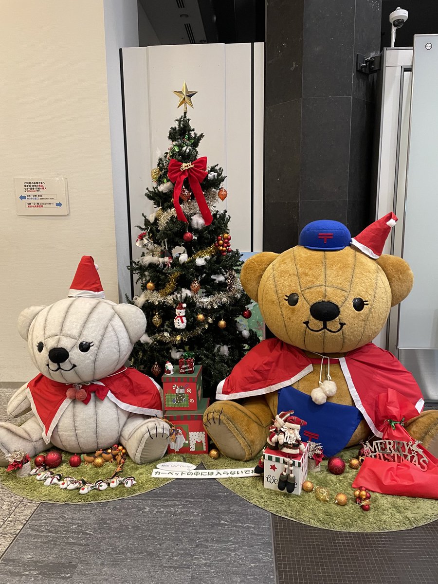 イルミネーション クリスマスツリーとアースカラーのクマちゃん KITTE 本物のもみの木による クリスマスツリー🎄 テーマは「眩いばかり