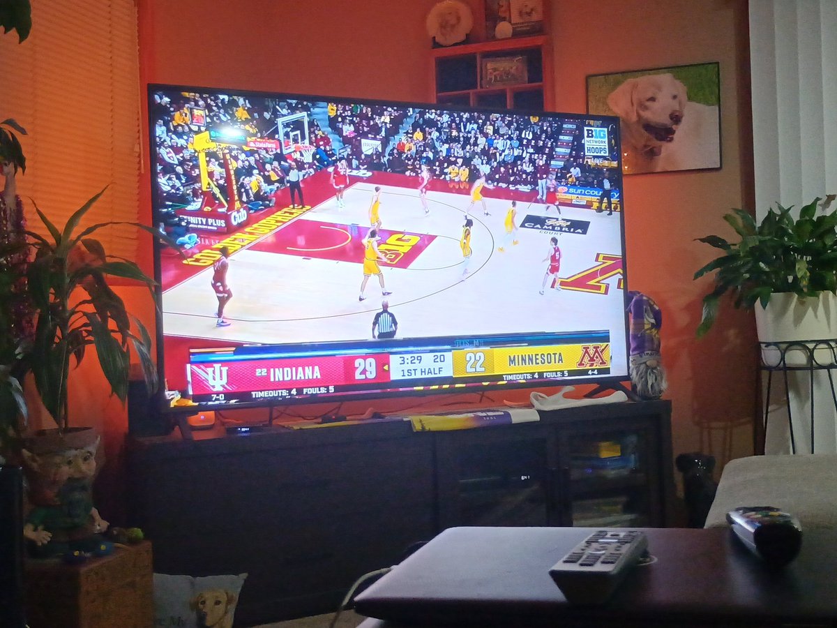 MnHSbballJunkie's tweet image. Let&apos;s goooo @GopherMBB don&apos;t let Indiana scare you. We got more heart!! @GopherSports @GopherHole