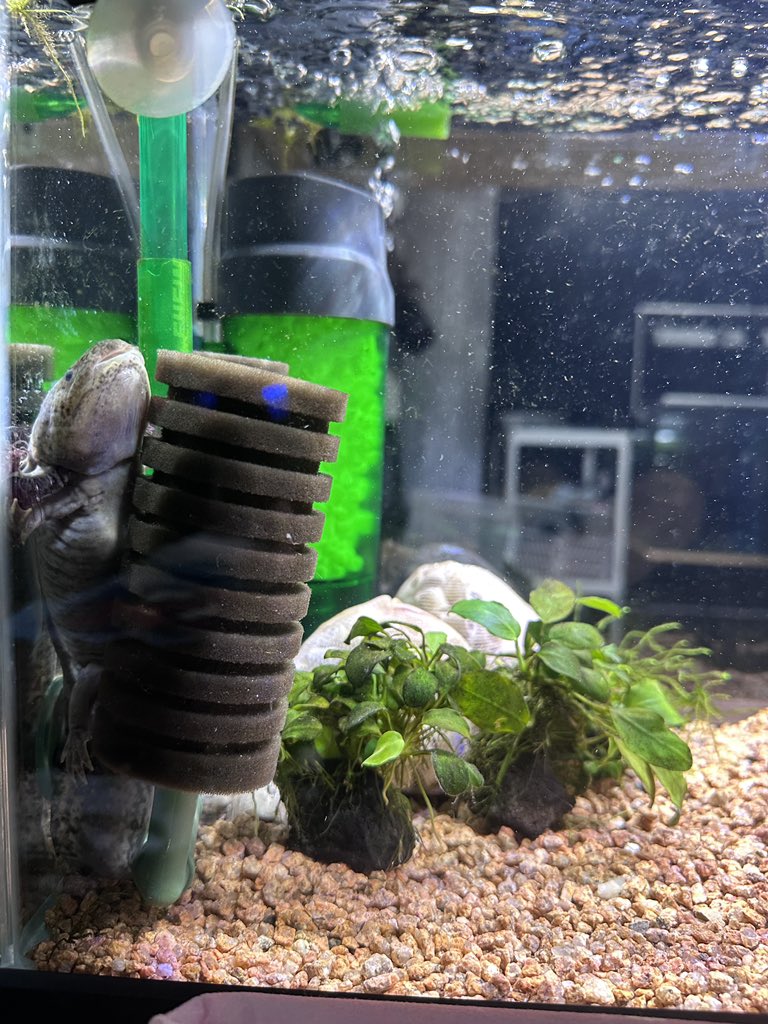 おはようございます🍍
本日の岡崎市は寒いけど快晴☀️
急に真冬がやってきたって感じですね、風邪には気をつけて、本日もよろしくお願いします🍍

 #企業公式が毎朝地元の天気を言い合う