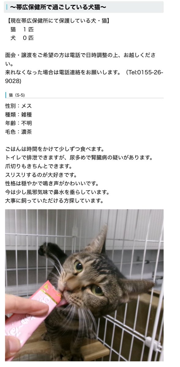 ku-ma返信不具合発生中 (@hgwj2WODcjLjHal) / Posts / X