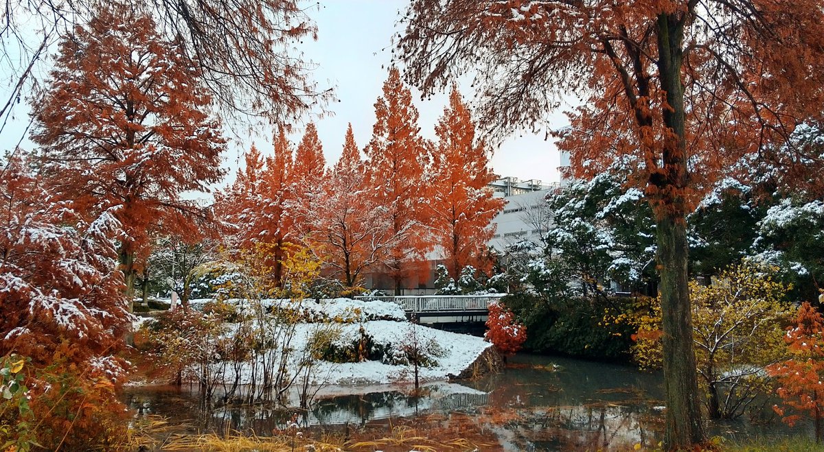 【定演まであと24日⛄】

12月28日(日)第59回定期演奏会
チケット絶賛販売中です！

【前売り】
一般800円/学生500円
【当日券】
一般1000円/学生500円
（学生券が安くなりました！）

ぜひ年末はサラマンカホールへ
お越しください🎶
▼チケットはこちら
teket.jp/1110/52142?uid…

#今朝の岐大